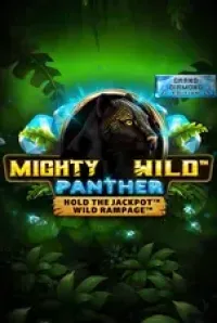 mighty wild panther 1 game logo